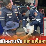 น้าชายใช้มีดดาบฟันหลานเจ็บคาวงเหล้า